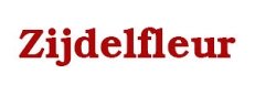 pos-05-1-logo-zijdelfleur-231x77